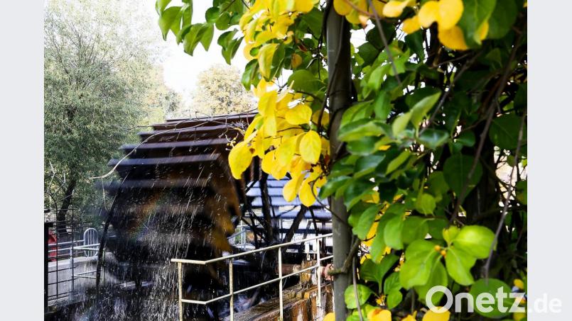 Ein Bild aus besseren Tagen: 2014 im Herbst liefen die Wasserräder noch. Jetzt stehen sie still. Bild: Hösamer