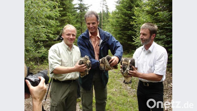 Hans Frisch, damals wie heute Förster im Hessenreuther Wald (links) hält 2008 den frisch beringten Fischadler &quot;6MU&quot; in der Hand. Neben ihm stehen der damalige Finanzvorstand der Bayerischen Staatsforsten, Karl Tschacha, und der damalige Forstbetriebsleiter Reinhard Lenz. Archivbild: exb