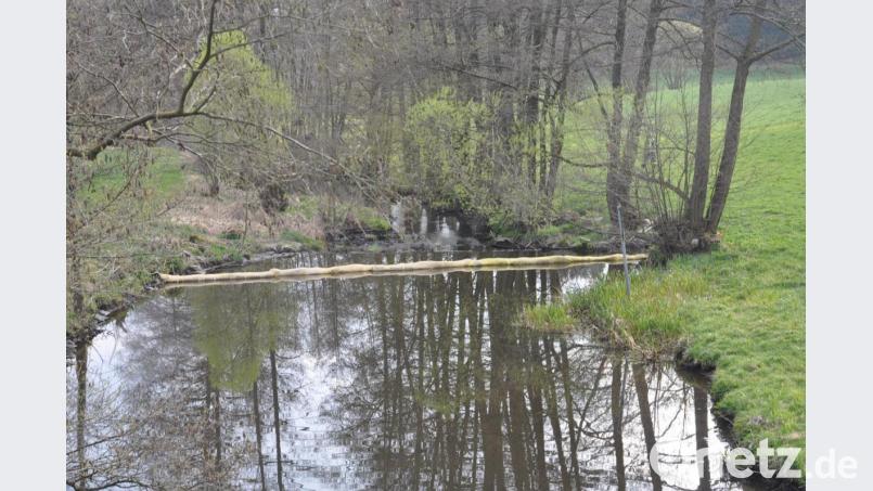 Mehr als 20 Feuerwehrkräfte rücken am Freitag bei der Kainzmühle an, um eine Ölsperre in der Pfreimd zu errichten. Wegen eines technischen Defekts an einem Wasserschieber gelangt Hydrauliköl in das fließende Gewässer. Bild: dob