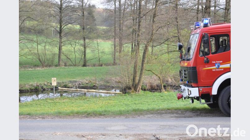 Mehr als 20 Feuerwehrkräfte rücken am Freitag bei der Kainzmühle an, um eine Ölsperre in der Pfreimd zu errichten. Wegen eines technischen Defekts an einem Wasserschieber gelangt Hydrauliköl in das fließende Gewässer. Bild: dob