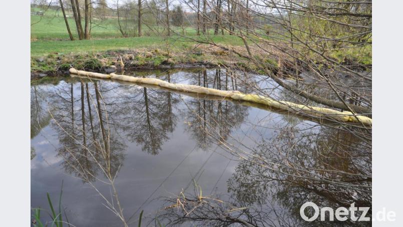 Auf der Pfreimd werden von den Floriansjüngern auf Höhe des Kainzmühlsägewerks zwei Ölsperren errichtet. Bild: dob