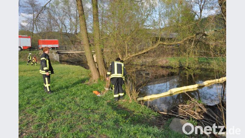 Mehr als 20 Feuerwehrkräfte rücken am Freitag bei der Kainzmühle an, um eine Ölsperre in der Pfreimd zu errichten. Wegen eines technischen Defekts an einem Wasserschieber gelangt Hydrauliköl in das fließende Gewässer. Bild: dob