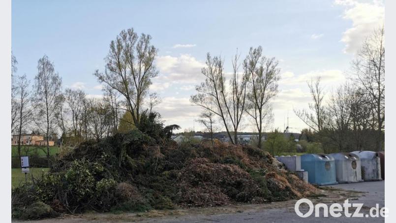 Die Gartenabfälle türmen sich am Klärwerk. Bild: gz