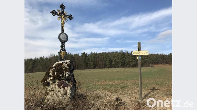 Wunderbare Naturerlebnisse erwarten Wanderer auf dem Teil des Jakobsweges, der durch den Hirschwald führt. Bild: exb/Naturpark Hirschwald e.V.