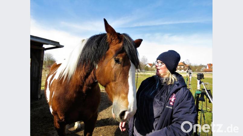 Vorsitzende Sandra Dietl hat auch ein eigenes Pferd. „Tosia“, ihre Stute, wollte sie eigentlich als Schulpferd für den Verein kaufen. „Dann habe ich mich so an sie gewöhnt, dass ich sie behalten wollte“, sagt sie. Bild: ubb