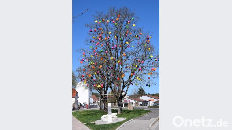 Der Gießkannenbaum dürfte einzigartig sein im Landkreis. Direkt am Ortseingang, den die Schmidmühlener auch Stachus nennen, treibt er seine kuriosen Blüten. Bild: bö