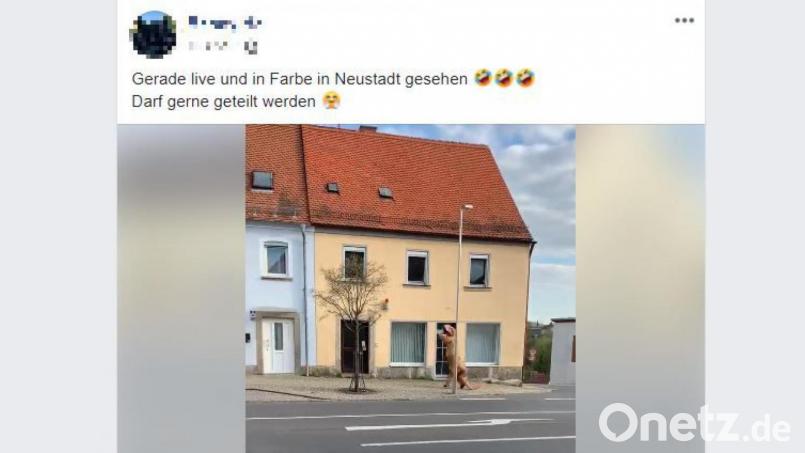 Ein Unbekannter im T-Rex-Kostüm ist am Sonntag durch Neustadt/WN gelaufen. Bild: Facebook/newler84