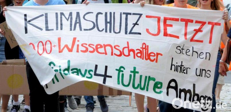 Mit großen Plakaten durch die Amberger Altstadt ziehen ist wegen der Coronakrise am kommenden Freitag nicht möglich. Die Aktivisten von Fridays for Future haben sich aber eine andere Form des Protestes überlegt. Archivbild: Stephan Huber