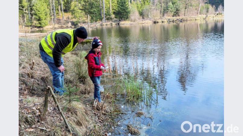 Auch Naturpark-Ranger Jonas Ständer unterstützt mit seinem Sohn die Arbeit des Vereins Kulturlandschaft südlicher Steinwald. Bild: bsc