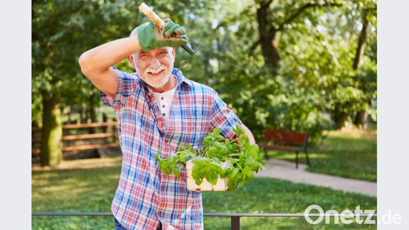 Gartenarbeit sorgt wie ein natürliches Antidepressivum für gute Laune, Zufriedenheit und Gelassenheit. Bild: Robert Kneschke – stock.adobe.com