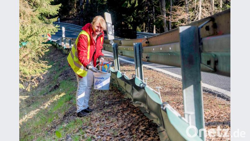 Hinter den Leitplanken überwachen die Mitglieder des Vereins Kulturlandschaft südlicher Steinwald derzeit täglich zweimal die Wanderwege der Amphibien. Beim Versuch, den Amphibienschutzzaun zu umwandern, fallen die Tiere in eingegrabene Fangeimer. Rita Steinkohl (Bild) prüft deshalb bei ihrem Kontrollgang jeden Eimer und befreit die Tiere aus ihrem unfreiwilligen Zwischenstopp. Bild: bsc