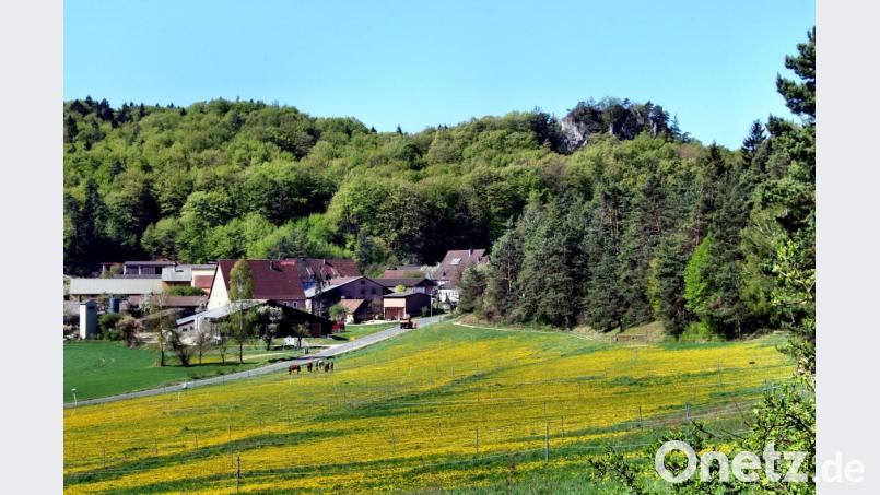 Ein goldfarbener Blütenteppich breitet sich vor dem Weiler Neutras und dem vom frischen Grün umgebenen Neutrasfelsen aus. Bild: ds