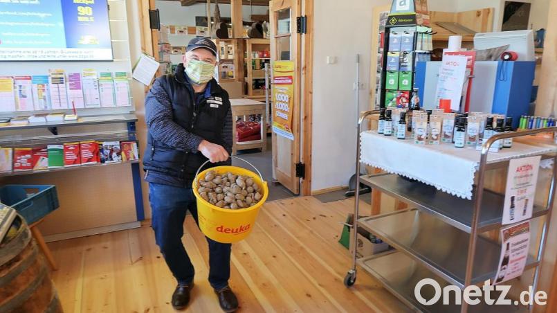 Trotz der Coronakrise findet Topinambur auch in diesem Jahr seine Abnehmer. Projektmanager Günther Erhardt (Bild) von der Öko-Modellregion Steinwald lieferte in dieser Woche mit Mundschutz die schmackhafte Knolle bei über 40 Bestellern im ganzen Landkreis an. Interessierte können den „Kartoffelersatz“ im Dorfladen Friedenfels sowie in der Geschäftsstelle der Öko-Modellregion in Erbendorf erwerben. Bild: bsc