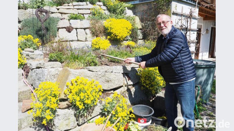 Bürgermeister Hans Graßl hat sich zum Ende seiner Amtszeit als Bürgermeister schon mit der Gartenarbeit angefreundet. Bild: bl