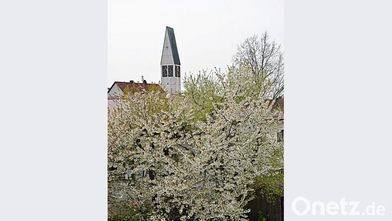 In voller Blüte stehen die Obstbäume. Bild: ü
