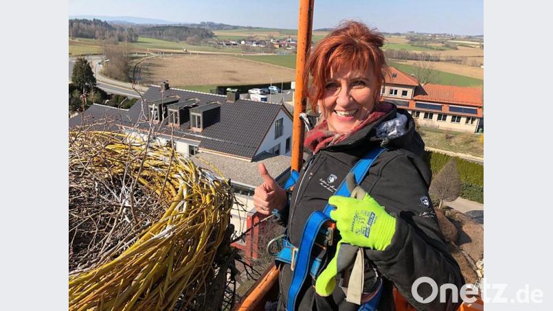 Andrea Gollwitzer in luftiger Höhe. Bild: lst