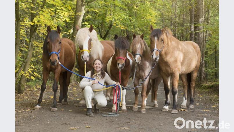 Katja Süß und ihre Vierbeiner haben in Coronazeiten wenig zu tun. Die Pferdetherapeutin bangt um ihren Betrieb. Bild: exb