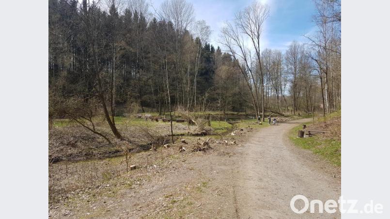 Das Gelände um das Wassertretbecken ist mittlerweile fast schon Baumfrei. Bild: gi