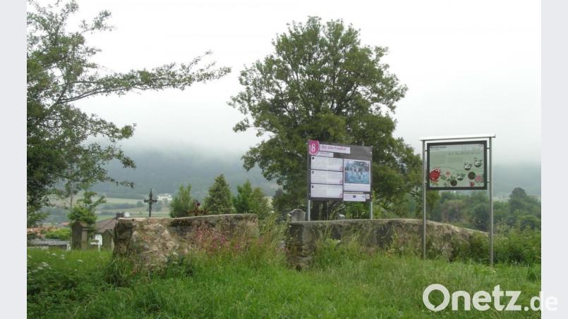 Stationen des Essbaren Wildpflanzenparks rund um den Schloßberg. Bild: hl