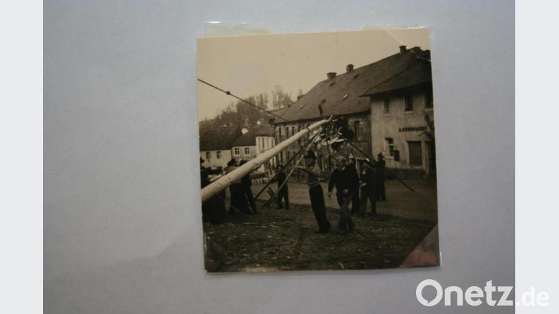 Aufstellen des Maibaumes vor 63 Jahren mit Muskelkraft und Schwalben: Wenzl Fenzl (mit Hut), daneben Josef Dromann helfen mit, ebenso Musikanten der &quot;Edelweiß&quot;-Kapelle (hinten), die vom Weckruf zurück waren. Bild: gpa
