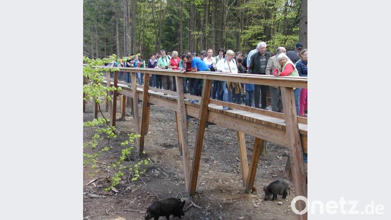 Bilder, wie diese mit oftmals 300 Besuchern täglich, gehören wohl noch länger der Vergangenheit an. Einen „gemäßigten“ Besuch könnte es vielleicht schon im Mai geben“, würden sich Bürgermeister Franz Tauber und Wildparkbetreiber Eckard Mickisch freuen. Bild: gis