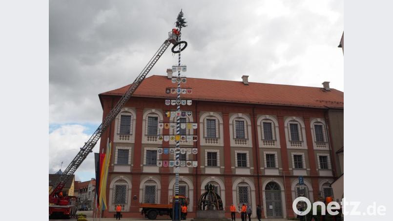 Der Maibaum vor dem Neustädter Landratsamt. Bild: Knauer, Ursula