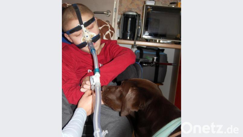 Timo mit seiner neuen Freundin Frieda, der Therapiehündin. Bild: Klinikum/Borchers