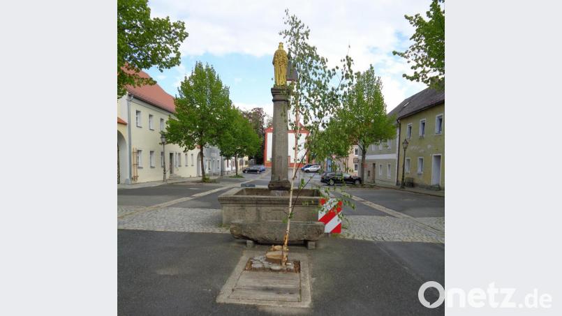An der Rückseite der Mariensäule "wächst" die Birke aus den Überresten des letzten Maibaums heraus. Bild: amö