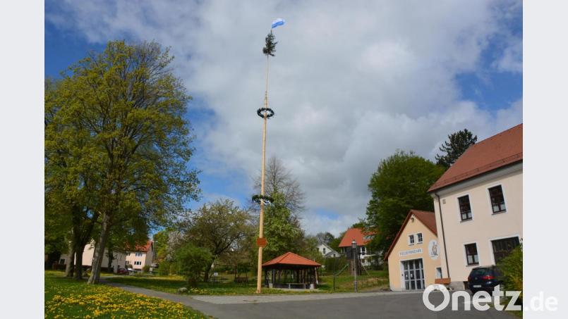 Dieser stattliche Maibaum schmückt den Dorfplatz im Kappldorf Münchenreuth, ganz nach alter Sitte und Brauchtum. Wer ihn aufgestellt hat, ließ sich nicht klären. Bild: jr