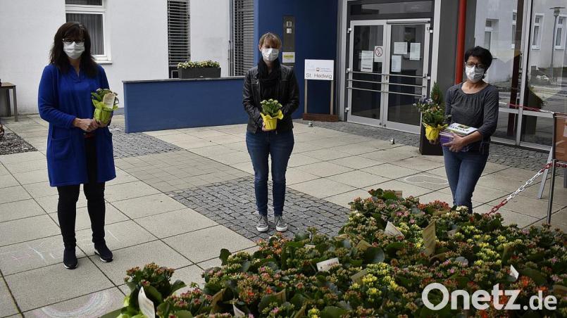 Blumengrüße von der Frauen-Union zur Verteilung an die Senioren übergibt (von links) die Vorsitzende Birgit Barth an die Caritas-Mitarbeiterinnen Birgit Gsell und Monika Lehner. Bild: sck