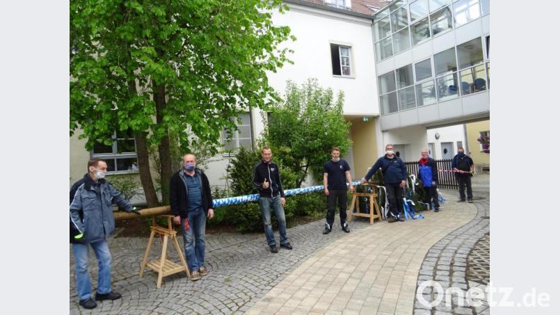 Sieben kräftige Männer aus dem Marienheim stemmen die zehn Meter hohe Fichte in die Höhe. Bild: Daniela Donhauser