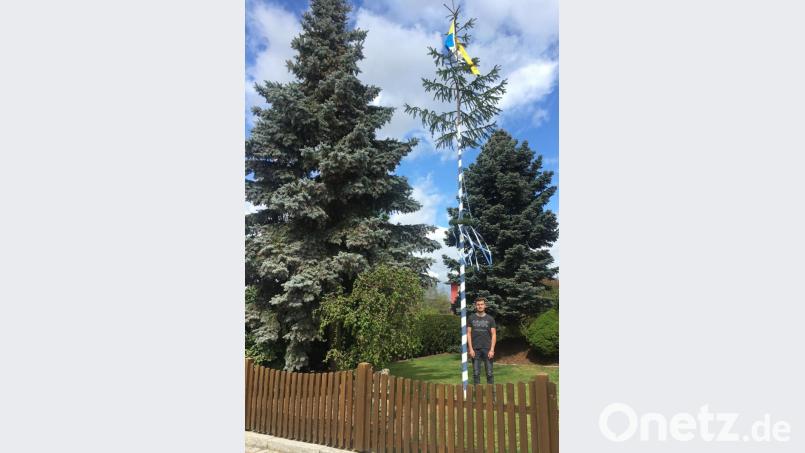 Tim Röbl setzt in Coronazeiten im Ortsteil Waldau ein sichtbares Hoffnungszeichen mit einer acht Meter langen Fichte aus dem Waldgebiet 'Elm'. Bild: dob