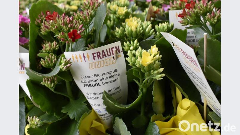80 Blumenstöcke &quot;Flammendes Kätchen&quot; (Kalanchoe) standen für die rund 70 Bewohnerinnen und Bewohner und als Dekoration in Speisesaal, Gemeinschaftsraum oder Flur bereit. Bild: sck