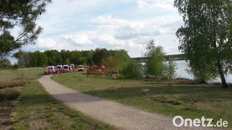 Zahlreiche Einsatzkräfte waren am Sonntag rund um den Murner See im Einsatz. Der Grund: eine Kuh. Bild: mr