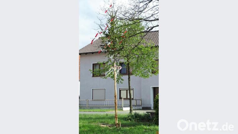 Der Mini-Maibaum auf dem Dorfplatz in Atzmannsberg. Bild: hl