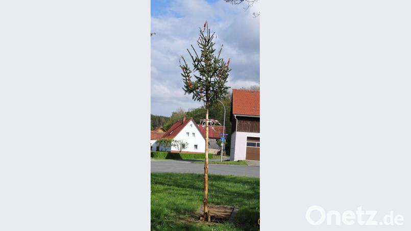 Der Mini-Maibaum auf dem Dorfplatz in Atzmannsberg. Bild: hl