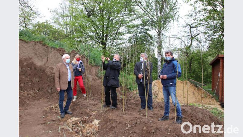 Gartenpfleger Wolfgang Engel (Mitte) beim Veredeln von jungen Bäumen mit Reiser aus dem alten Krankenhausgarten. Bild: Thomas Dobler