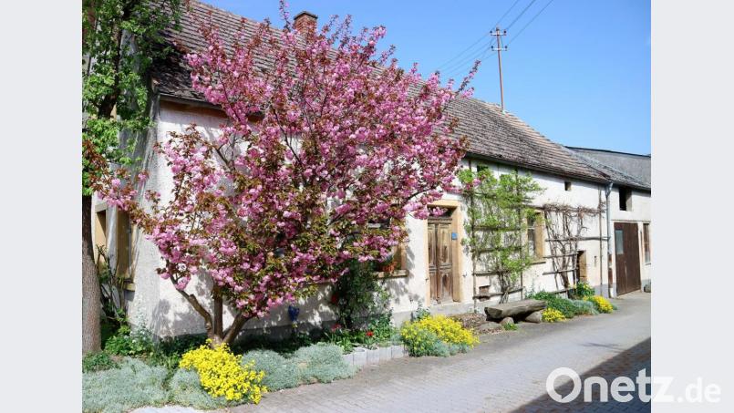 Im Frühlingsgewand präsentiert sich das im Dornröschenschlaf versunkene alte Trötsch-Haus. Die Bepflanzung stammt noch von Berta Ermer. Schwiegertochter Irene hat inzwischen die Pflege übernommen. Bild: bk