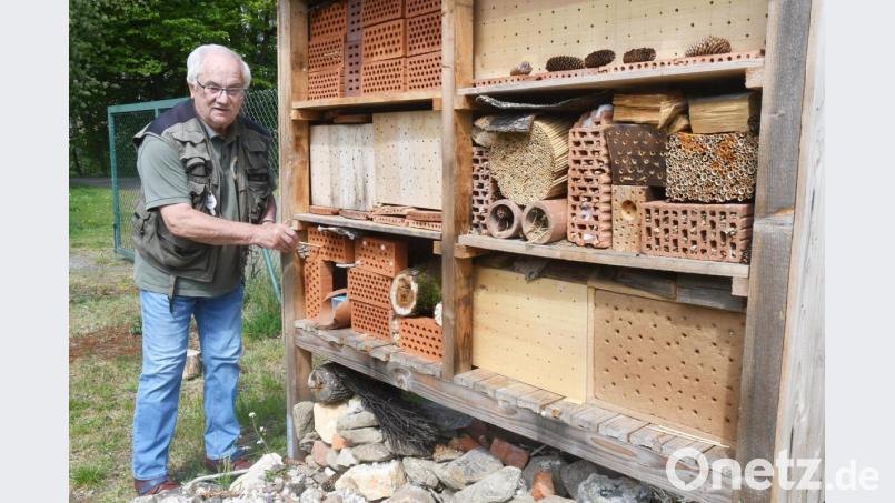 Langweilig wird Alfons Heidingsfelder nicht. Auch wenn er das Ehrenamt des Seniorenbeauftragten jetzt niedergelegt hat, weiß er seine Freizeit gut auszufüllen. Zum Beispiel, indem er für die Besiedelung des Insektenhotels des Fischervereins Weiden sorgt und einen Steingarten dazu anlegt. Bild: Gabi Schönberger