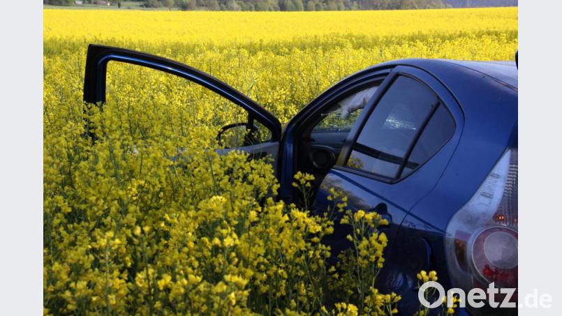 Im Raps endet die Fahrt. Der Kleinwagen kam bei Etzenricht von der Straße ab. Bild: za