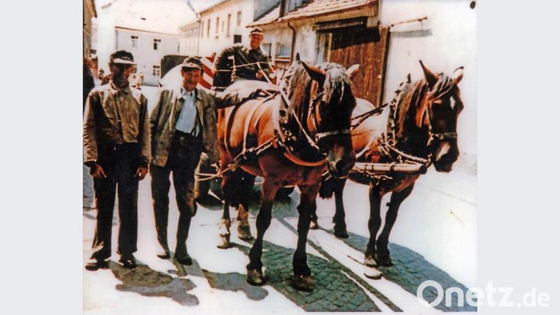 Bis 1960 zog eine Pferde-Müllabfuhr durch Tirschenreuths Straßen. Bild: exb/Archiv Helmut Zagler