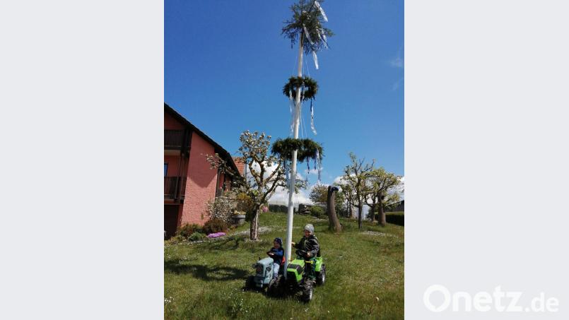 Die Kinder posieren neben ihrem Baum. Bild: exb