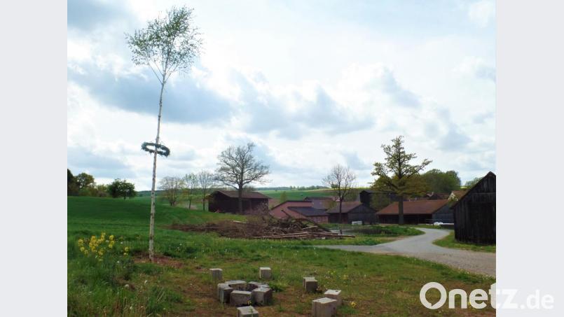 Die Bewohner der Gründörfer lassen das Brauchtum auch in Coronazeiten nicht untergehen und stellten die etwas windschiefe, recht schlanke Birke als Maibaum auf. In Zeiten einer Pandemie ein ganz besonderes Zeichen, das Mut macht. Bild: jml