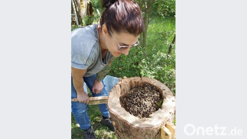 Stefanie Zehetbauer siedelte die Bienen von der Gefängnismauer in eine Klotzbeute um. Das ist eine Behausung, in der die Insekten selbst ihre Waben bauen und aus der kein Honig geerntet wird. Bild: Bienery/exb