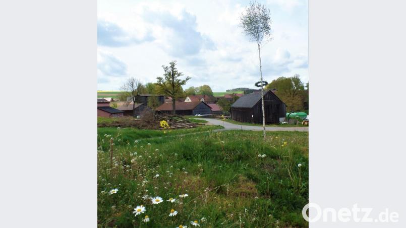 Kein separater Bildtext. Bild: jml