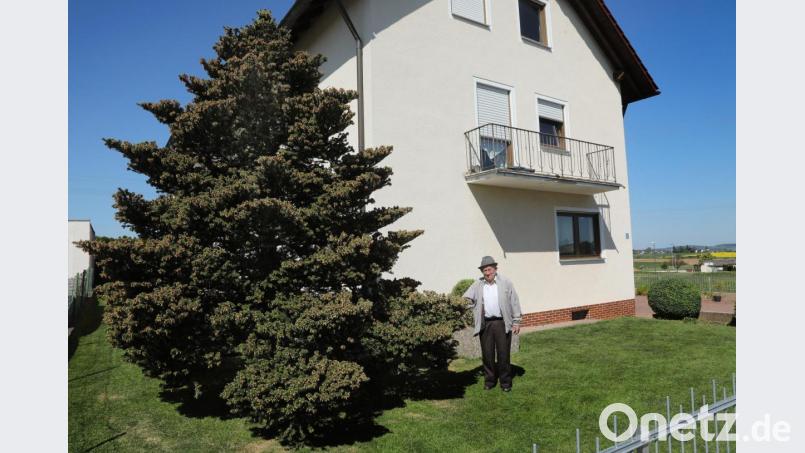 Xaver Donhauser freut sich über den seltenen Anblick in seinem Garten. Bild: Wolfgang Steinbacher