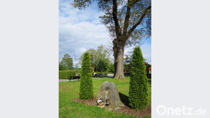 Von zwei Thujen eingerahmt erinnert der Gedenkstein an die Gefallenen des Zweiten Weltkriegs. Vor 30 Jahren wurde er vom Ortsverband der Heimkehrer dort aufgestellt. Bild: dob