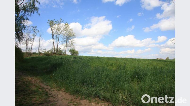 Derzeit ist vom neuen Baugebiet „Am Sonnenhang“ noch wenig zu sehen. Die neuen Baugrundstücke waren aber bereits mehrfach Thema im Gemeinderat. Auch im Haushalt schlägt sich das Baugebiet nieder. Bild: wro