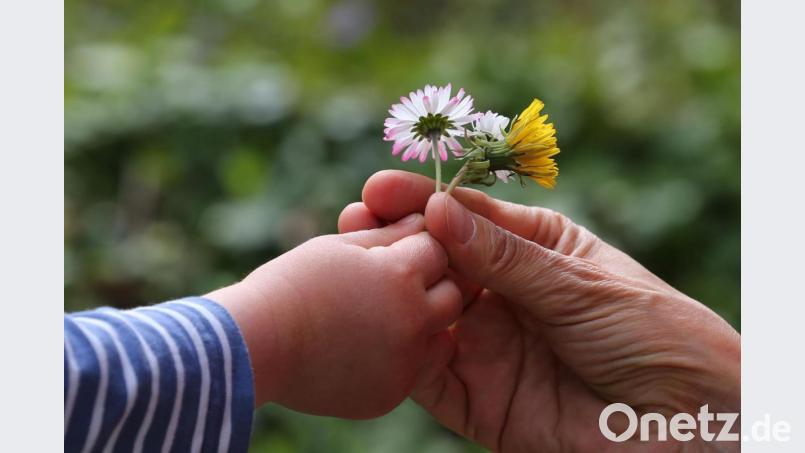 Ein vierjähriger Junge überreicht in einem Garten seiner Mutter gepflückte Blumen. Archivbild: Karl-Josef Hildenbrand/dpa