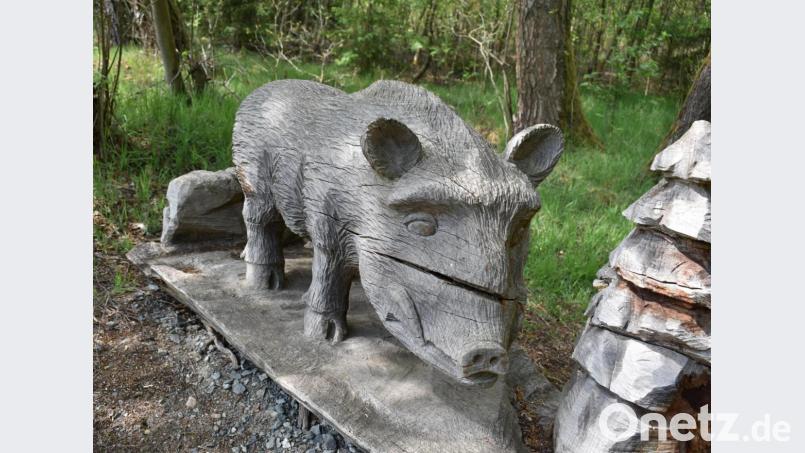 Am Waldlehrpfad tummelt sich auch ein hölzernes Wildschwein. Bild: rgr